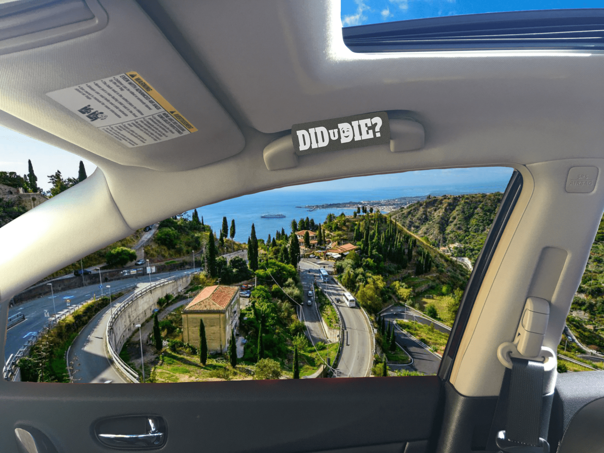 El Guantazo™ – Agarre sarcástico de coche (Did U Blink?) Automotive | Zulter VIP