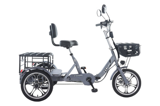El Triciclo de los Que No Se Rinden - Potencia,Estilo y Libertad sobre 3 Ruedas Biking | Zulter VIP