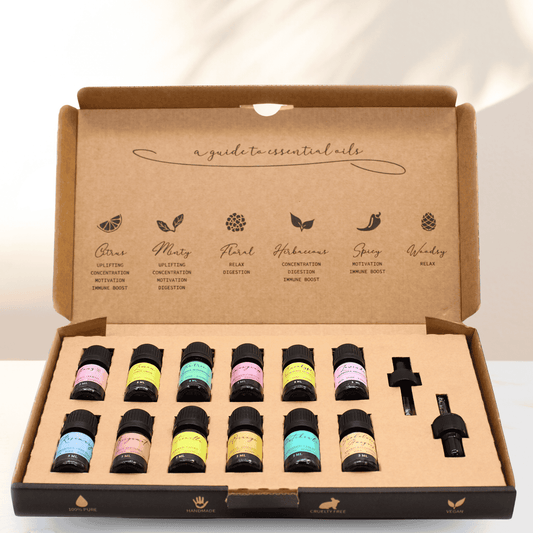 Premium-Set mit 12 ätherischen Ölen für die Aromatherapie - Entspannung, Wellness und natürliche Energie (5 ml)