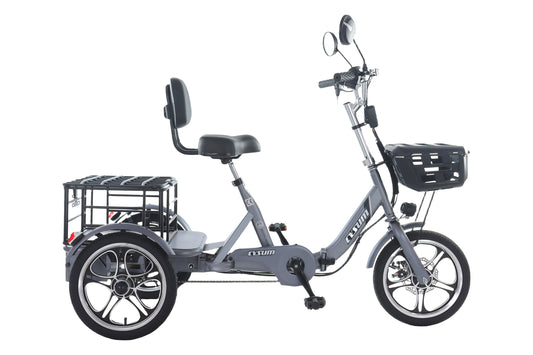 Das Trike für alle, die nicht aufgeben wollen - Power, Style und Freiheit auf 3 Rädern